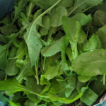 Arugula Rocket - Image 2