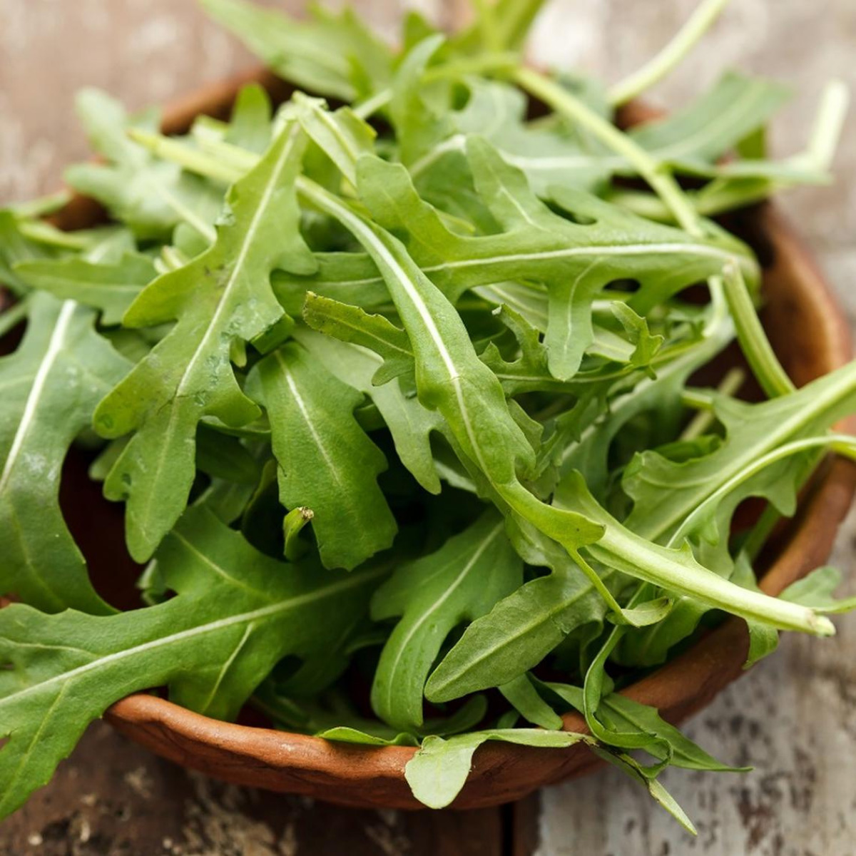ACsemillas - Arugula Rocket 2 Arugula Rocket - Image 1
