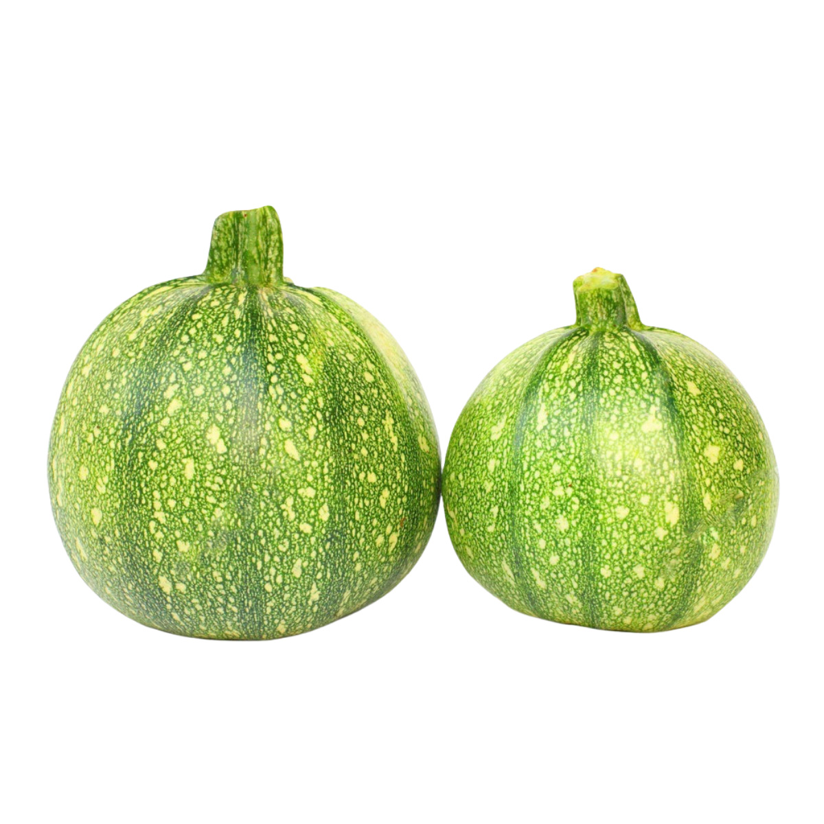 ACsemillas - Calabaza Catania Calabaza Catania - Image 1