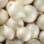 Cebolla Magia Blanca