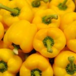 Chile Pimiento Stephania