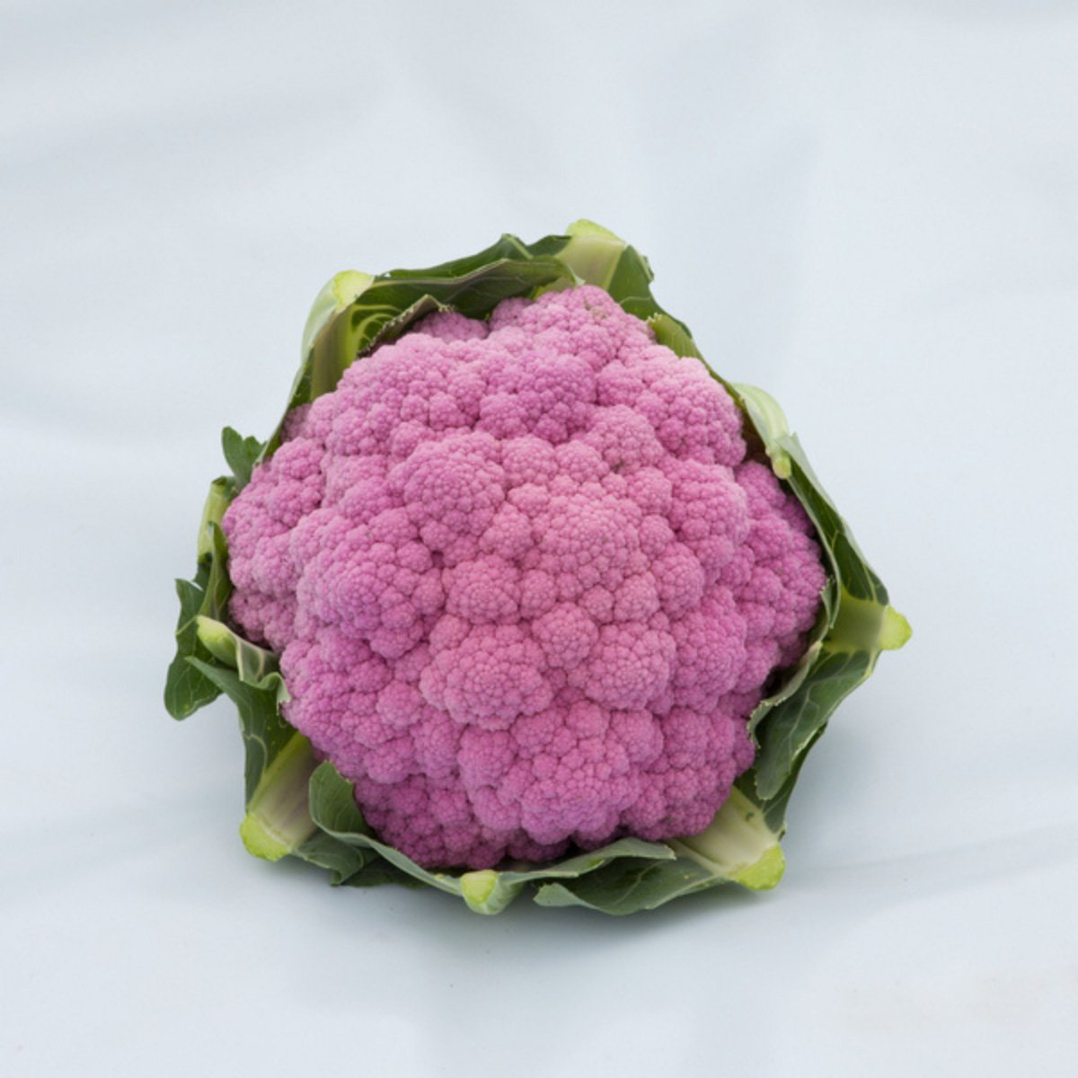 ACsemillas - Coliflor Depurple Coliflor Depurple - Image 1