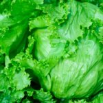 Lechuga Black Simpson - Image 2