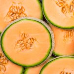 Melón Andrómeda