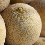 Melón Ovation - Image 2