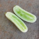 Pepino White Wonder