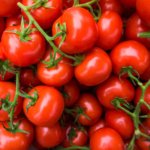 Tomate Floradade