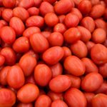 Tomate Indeterminado Altius