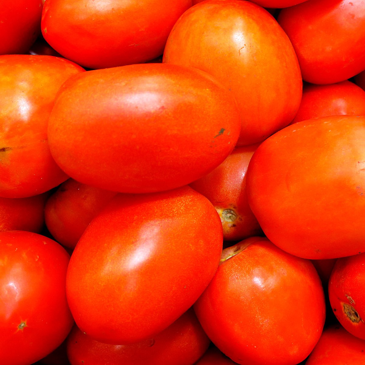 ACsemillas - Tomate el Valiente Tomate el Valiente - Image 1