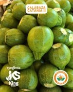 Calabaza Catania II F-1 Sobre 3 millares - Image 3