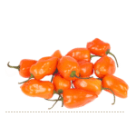 Chile Habanero Naranja (Orange) Sobre 15 millares - Image 5