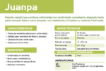 Repollo Juanpa (SGW0159) Sobre 25 Millares - Image 2