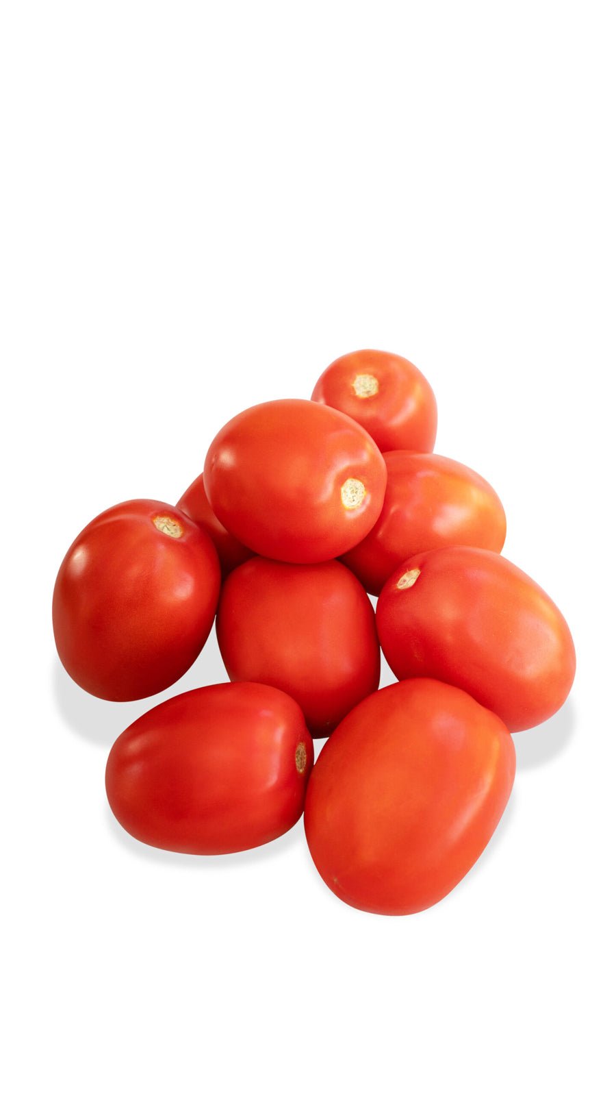 Rubeus.jpg Tomate Rubeus Sobre 1 millar - Image 1