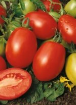 Tomate Rio Grande Sobre 1 Libra - Image 2