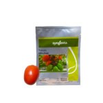 Tomate Chichop (SD-2107) Sobre 1 millar