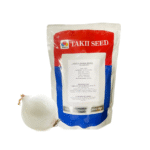 Cebolla Blanca Grande 100 millares. Descuento 5% (se aplica en el carrito)