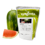 Sandia Estrella Sobre 5 Millares