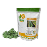 Tatsoi Sobre 1 Lb