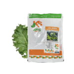 Kale Dwarf Siberian Improved Plain Sobre 1 Lb